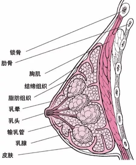 微信图片_202002141647501.jpg