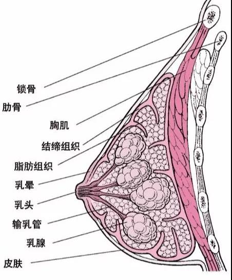 微信图片_20200305183214.jpg