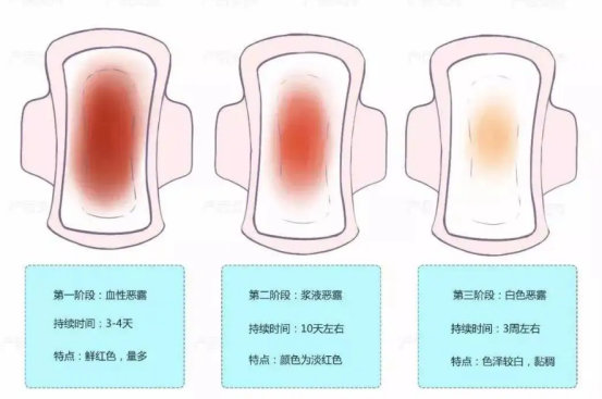 月子会所加盟，产后恶露分为哪三种