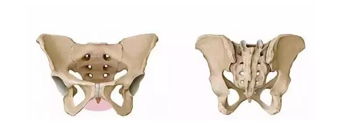 产后恢复究竟要恢复什么呢?产后除了恢复身材,原来这些部位的恢复也很重要?